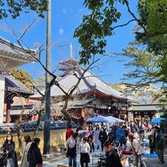 3月2日（日）フリマへGO！　中山寺　フリーマーケット開催情報