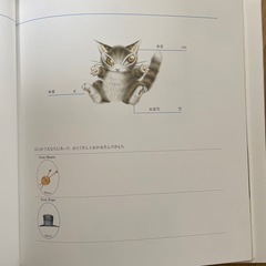 ダヤンの赤ちゃん日記　育児日記　赤ちゃん日記の画像
