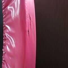 ◇RIORES　リオレス　トランポリン　ピンク　ダイエット　スポーツ　カバーに傷ありの画像