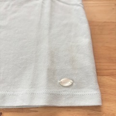 【新品】プティマイン　100の画像