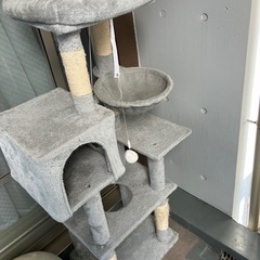 キャットタワー【無料】