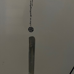 Santa Cruz サーフボード 172cmの画像