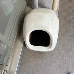 猫トイレ【無料】