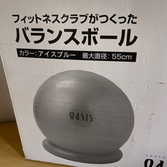 東急スポーツ　オアシス　バランスボールの画像