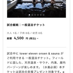 大人2名　格安エスコンフィールド　3.22温浴試合観戦チケット
