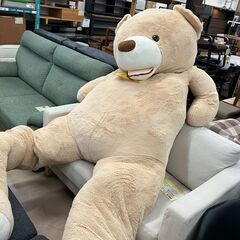 😎大きい‼️😎かわいい‼️😎ビッグベア😎No.4390😎