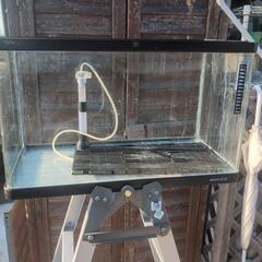 NISSO60センチガラス水槽