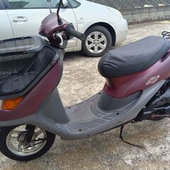 ディオチェスタ50cc
