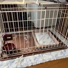 犬ゲージ