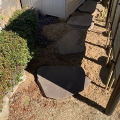 芝の植え込み