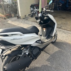 マジェスティsの画像