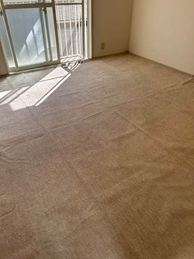 ！20%引きしました！カーペット