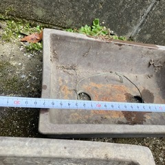 盆栽鉢？の画像