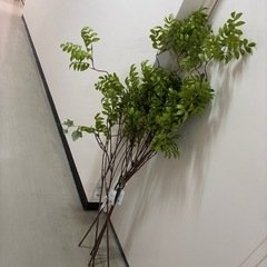 フェイクグリーン　人工観葉植物　140cm×6本