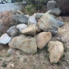 庭石、差し上げます