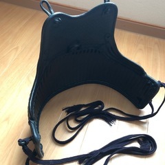 剣道 胴の画像