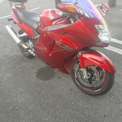 CBR1100XX ブラックバードの画像