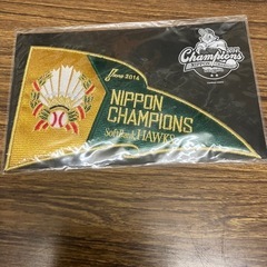 SoftBank   nippon  Champions2014