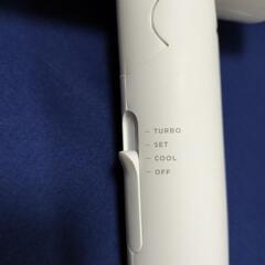 【人気】サロニア　良品の画像