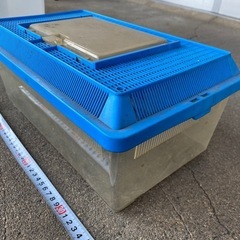飼育ケース