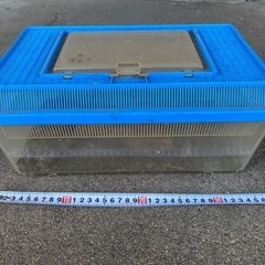 飼育ケースの画像