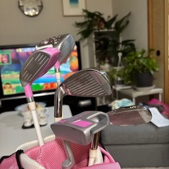 レディースジュニアゴルフクラブセット
の画像