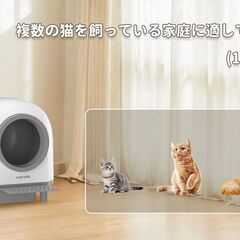 【全新未使用品】自動猫トイレ ！！！