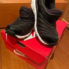NIKE　DYNAMO FREE TD ボーイズ