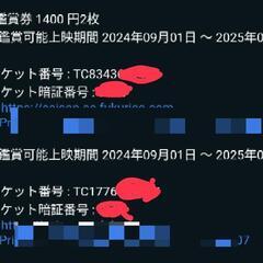 2/28まで　TOHO映画チケット2回分
