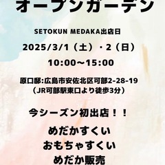 めだか　メダカ　めだかすくい　クリスマスローズ　フリマ　