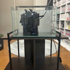 ADA45㎝水槽セット　水槽台　フィルター　アクアリウム