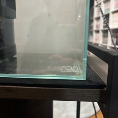 ADA45㎝水槽セット　水槽台　フィルター　アクアリウムの画像