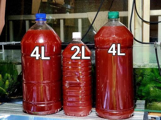 No.3【10L】　光合成細菌　PSB　4L、2本と2L、1本のﾍﾟｯﾄﾎﾞﾄﾙに入れます　かなり良い出来上がりです　自信　有りますよ　自家栽培してますから　安く出品しました