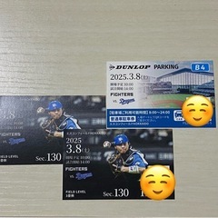 野球チケット