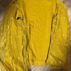 服１２着セットの画像