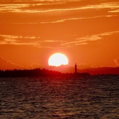 美品【Panasonic DMC-TZ10｜古き良きオールドコンデジ】の画像