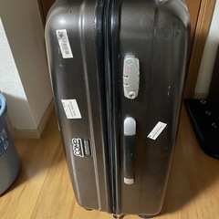 早めに問い合わせお願いします。　　キャリーケースの画像