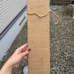 猫のガリガリ