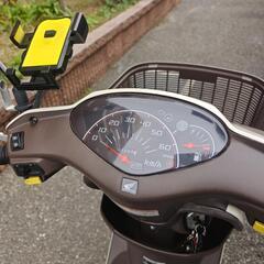 HONDA  ディオチェスタ
50cc原付の画像