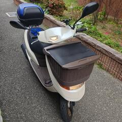 HONDA  ディオチェスタ
50cc原付