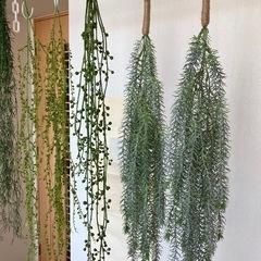 観葉植物　未使用・おまけも可　購入価格￥6000円超　フェイクグ...