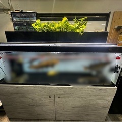 1800水槽
