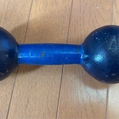 4kg ダンベル 青色 鉄製　初心者〜中級者用