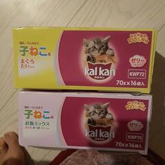 子猫用お魚ミックスのゼリー仕立てのご飯🍚🍴