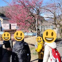 3/8土 高尾梅郷梅まつりと八王子城跡