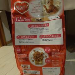 子猫用自然免疫ケア1.5キロgの画像