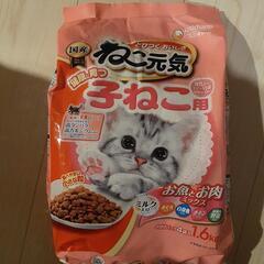 子猫用カリカリ！