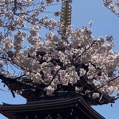 雑グルチャ友達作り