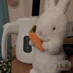うさぎぬいぐるみ