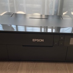 EPSON SC-PX5V2 